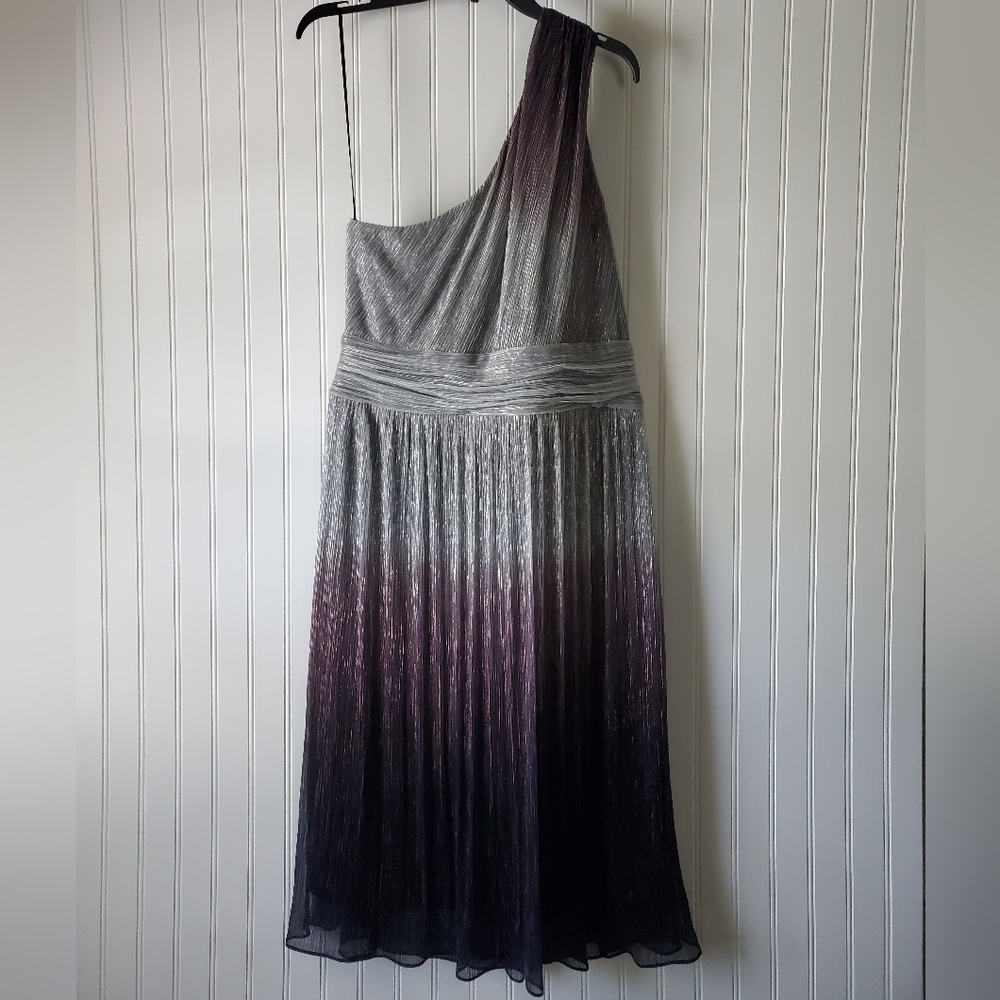 Ignite Evenings NWT Elegant One-Shoulder Ombre Dress Sz 16